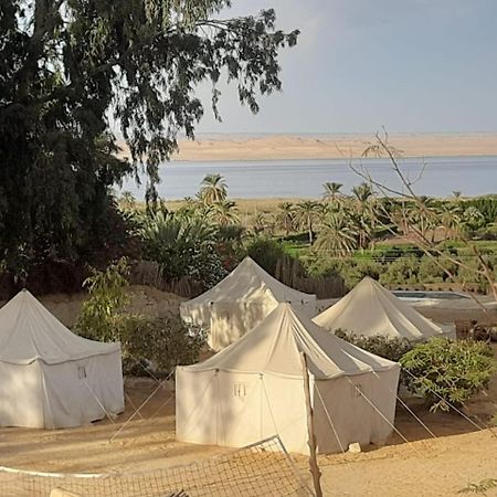 Tunis Camp Fayoum Экстерьер фото