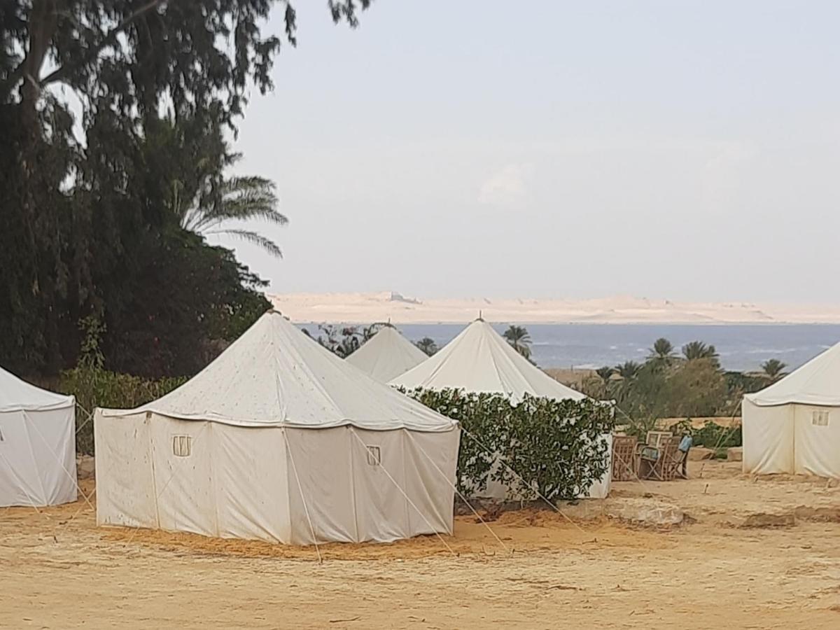 Tunis Camp Fayoum Номер фото
