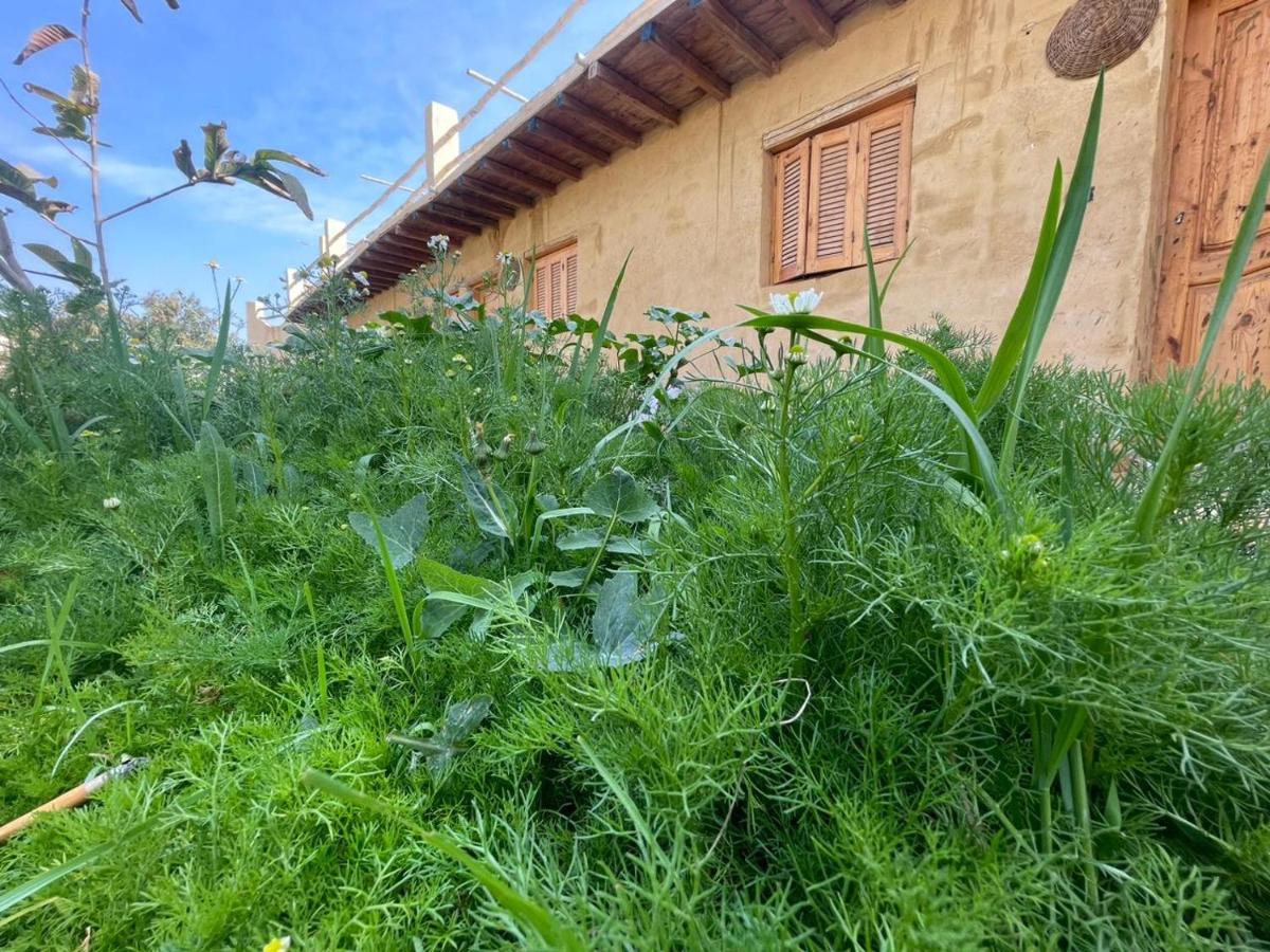 Tunis Camp Fayoum Экстерьер фото